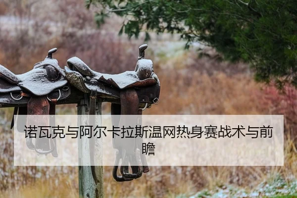 诺瓦克与阿尔卡拉斯温网热身赛战术与前瞻（HG）
